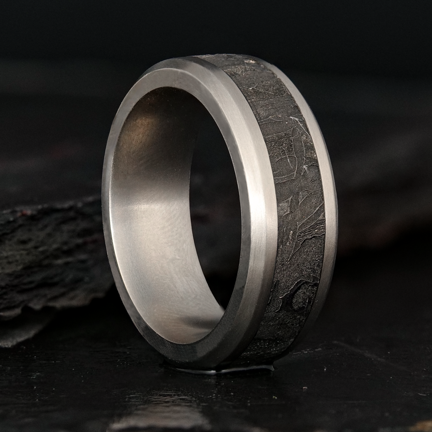 Titanium Ring With Meteorite Inlay - Patrick Adair Designs