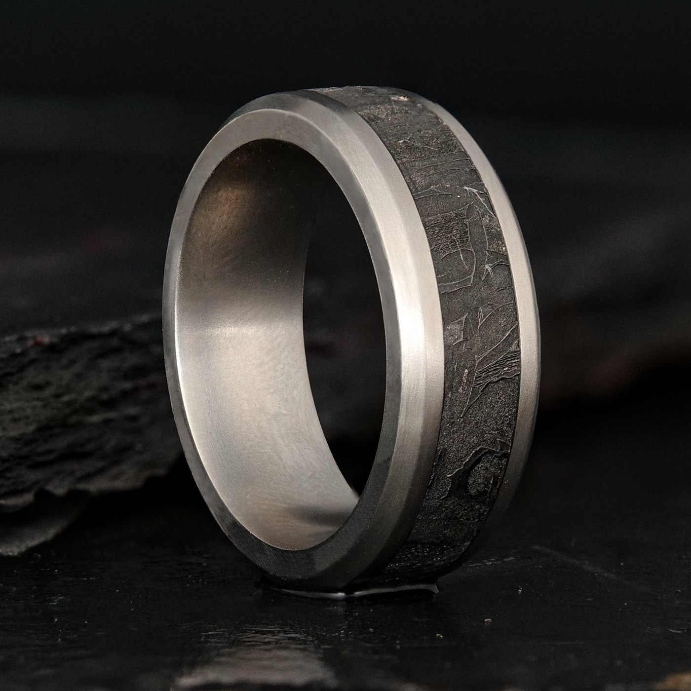 Titanium Designer Rings Titanium Ring With Meteorite Inlay– Patrick Adair Designs