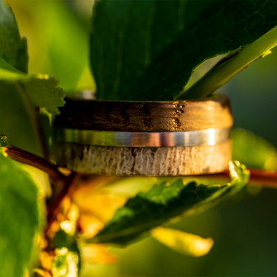 Whiskey Barrel Oak and Deer Antler Ring - Patrick Adair Designs