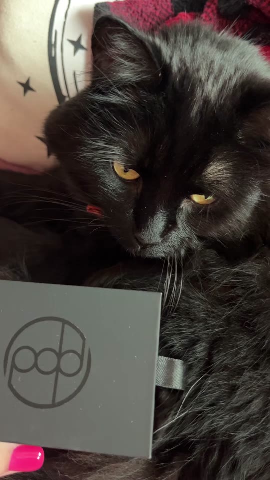 Customer unboxing video for Patrick Adair Designs